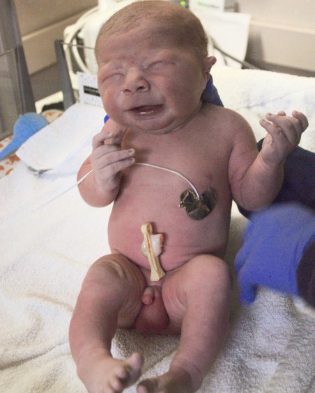 36CC1743-857D-46B1-8614-CC0BAA111C83